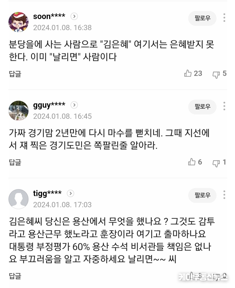 언론 보도에 달린 누리꾼들의 댓글 캡쳐./ 김교민 기자