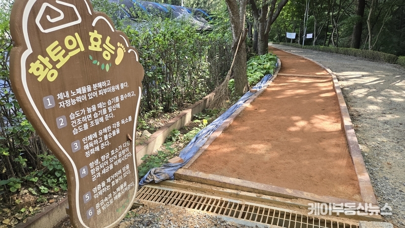 다만 일부 시민들은 “황토가 조금 더 촉촉했더라면, 깊이감이 더 있었더라면 더 좋았을 것 같다”며 수분 유지와 질감에 대한 아쉬움도 전했다. / 김교민 기자