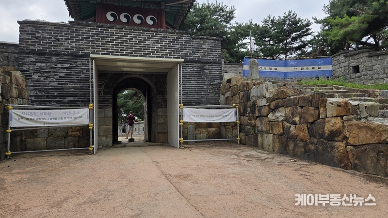 세계문화유산 수원화성, 방치된 나무·낡은 안내판·파손된 도로… 수원시의 ‘부끄러운 관리’ (사진 - 수원화성 서남암문, 소나무 터널로 인기를 얻었으나 지난해 폭설로 부러진 소나무가 방치되어 있어 방문객들이 안타까움을 드러내고 있었다.) / 김교민 기자