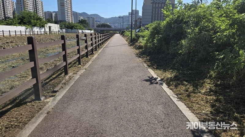  보도 후 (잡풀이 무성해 한 사람 지나기도 어려웠던 구간은 제초 작업을 마쳐 자전거와 보행자 교차 통행이 가능해졌다.) / 김교민 기자