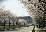 용인특례시, 봄철 나들이 여행객 증가 대비해 용인경전철 운송·안전대책 수립