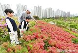 하남시 미사한강공원 철쭉동산, SNS 타고 입소문 난 봄철 ‘핫플’