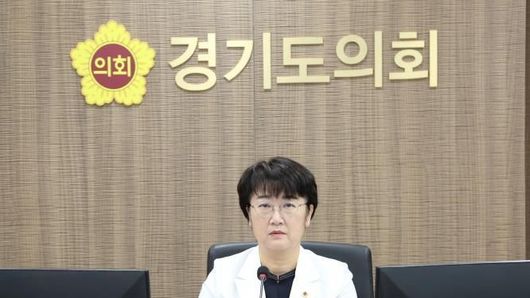 경기도의회 고은정 의원, 경기도사회적경제원 인사청문회서 후보자의 전문성·현실성 부족 지적