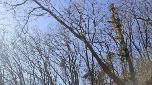 용인특례시, '광교산 둘레길' 조성사업 올해 상반기 중 마무리