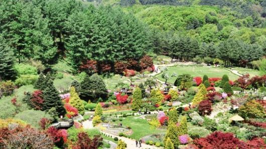 아침고요수목원, 가평 상면 주민에 '무료개방'