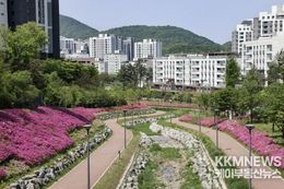 의왕시 백운밸리 바라천, 봄빛 머금은 철쭉길…"조용한 힐링 명소"