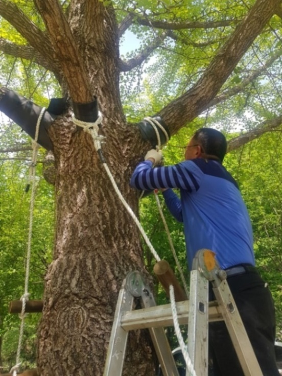 나무 보호대 설치