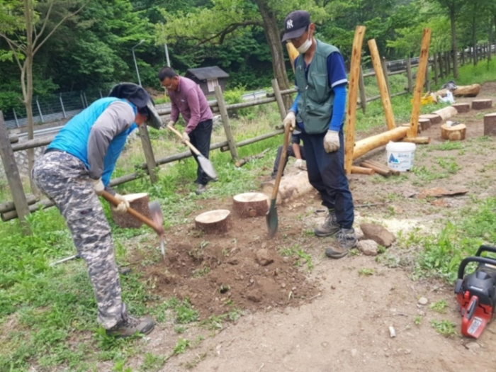 숲놀이기구 설치