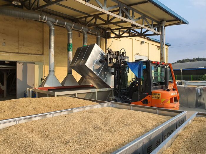 백옥쌀 수매 현장 ©