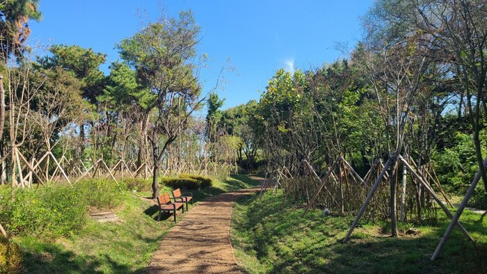 평택 미세먼지 차단숲