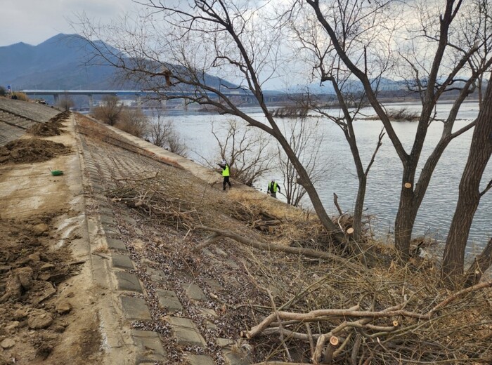 남양주시는 시민들이 더욱 쾌적하게 한강을 즐길 수 있도록 올해 2월 한강 팔당리 일원 산책로 연장 2km, 고수부지 및 제방부 약 60,000㎡에 대한 환경 정비 사업을 착공해 퇴적토 정비, 지장목 제거, 가지치기, 덩굴을 비롯한 생태 교란 식물 제거 등을 시행했다.