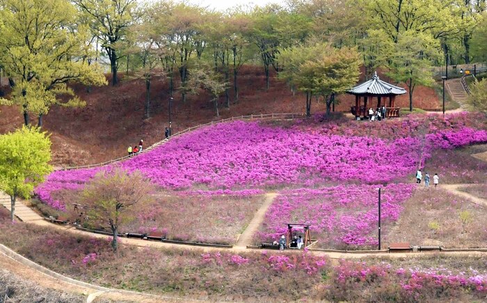 K-시흥시