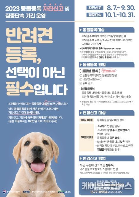 동물등록 자진신고 운영 기간 홍보문