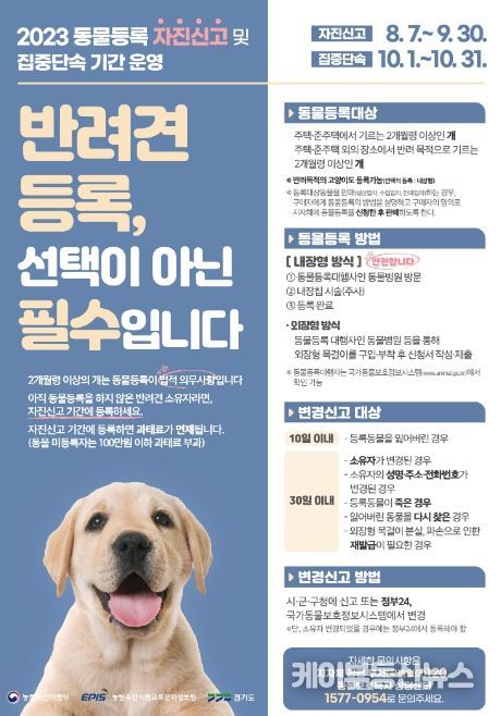홍보물