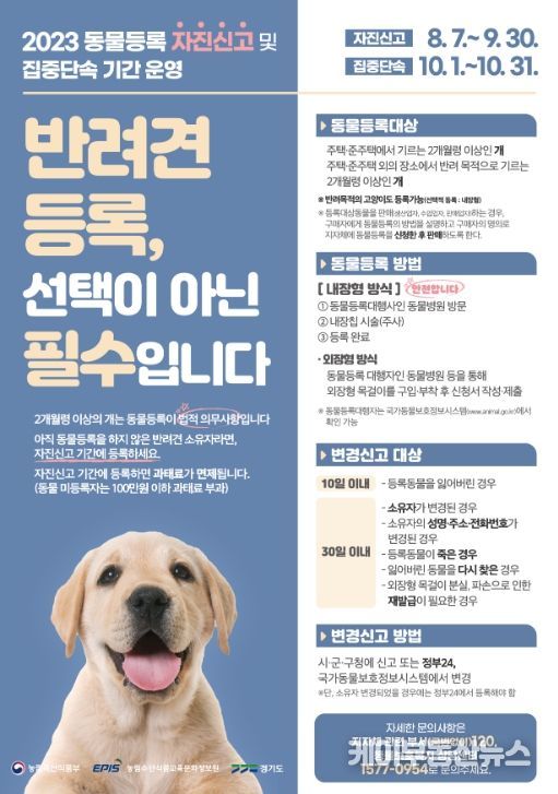 공원 내 동물보호법 위반행위 집중단속