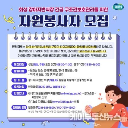 자원봉사자 모집
