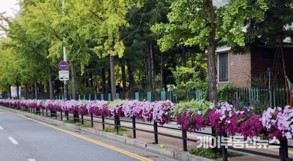 고양특례시 덕양구, 경기도생활체육대축전 대비 거리 환경 정비