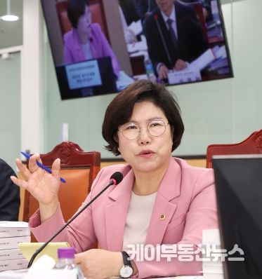 경기도의회 이애형 의원