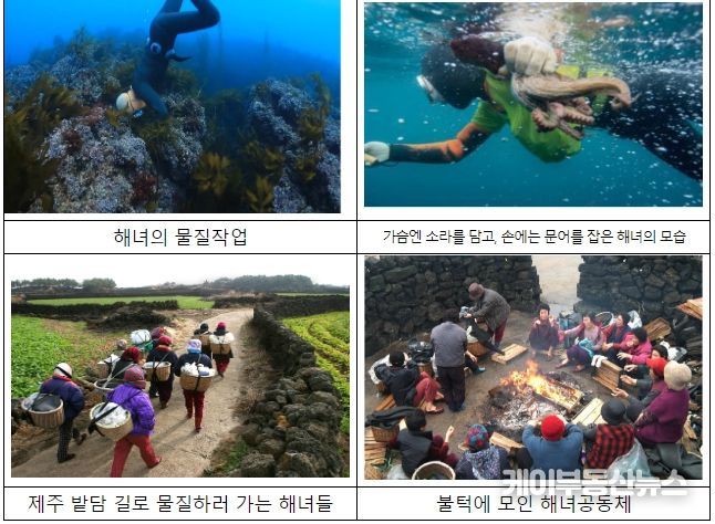 제주해녀어업시스템