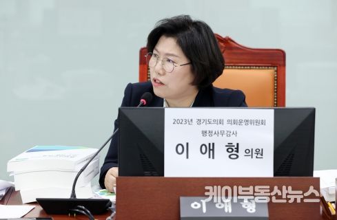 경기도의회 이애형 의원