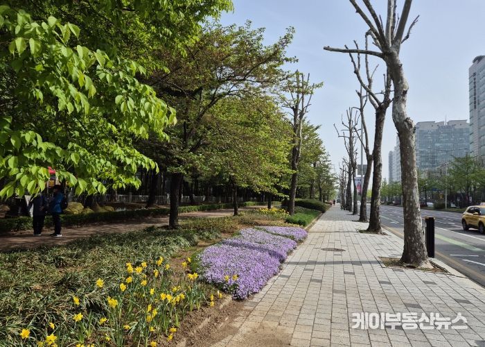 고양특례시 일산서구, 도로변에 화사한 꽃길 조성