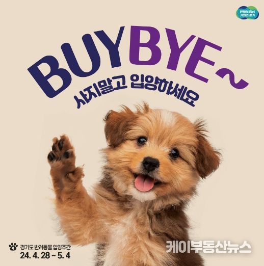 반려동물 입양주간 포스터