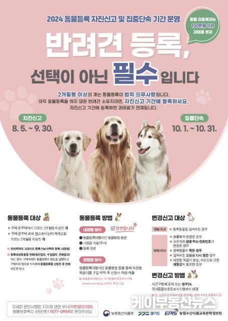 동물등록 자진신고 포스터