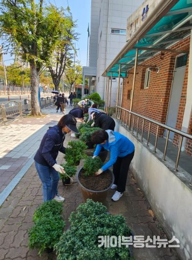 고양시 탄현1동, 가을 맞이해 국화 200본 식재