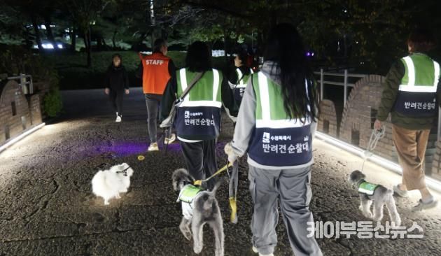 수원시 반려견 순찰대가 합동 순찰을 하고 있다
