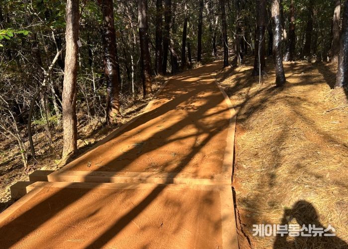 이천시, 시민건강 위해 설봉산 황톳길 보수 완료