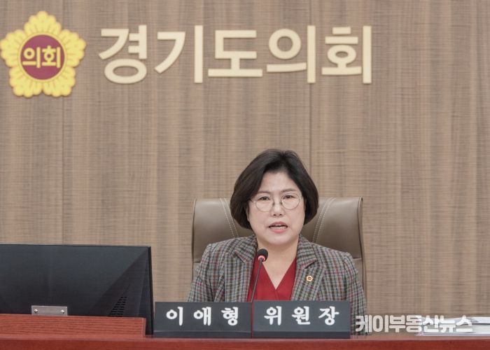 경기도의회 교육행정위원회 이애형 위원장(국민의힘, 수원10)