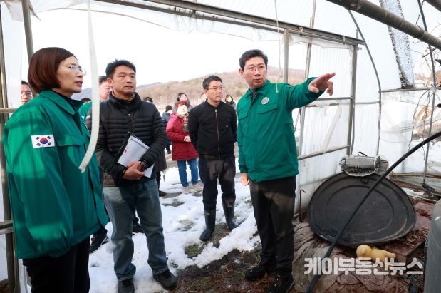 이상일 용인특례시장이 3일 폭설피해 농가를 방문해 피해 상황을 살피고 농장주를 위로하고 있다.