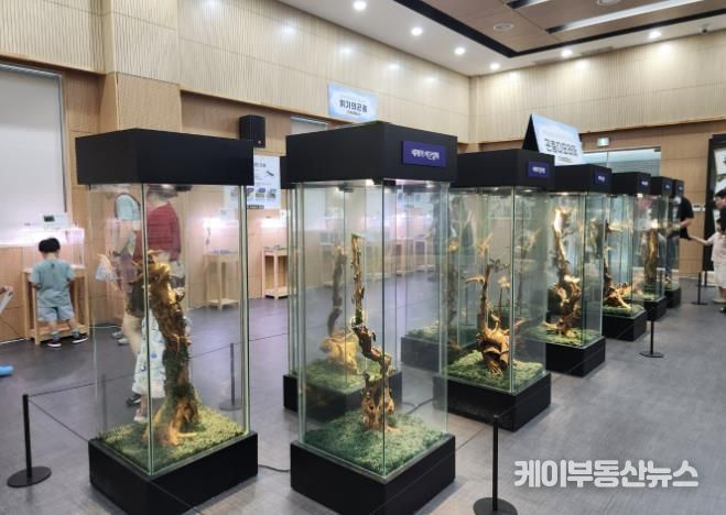 올해 진행된 벅스리움 여름방한 특별전시 ‘세상의 값진 곤충 특별전’ 모습