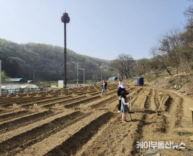 주말농장