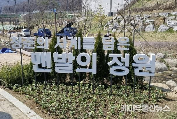 현재 조성 공사 중인 성남 대장지구 흙길 내 '맨발의 정원'