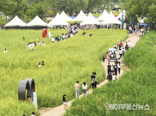 2024 창릉천 유채꽃 축제