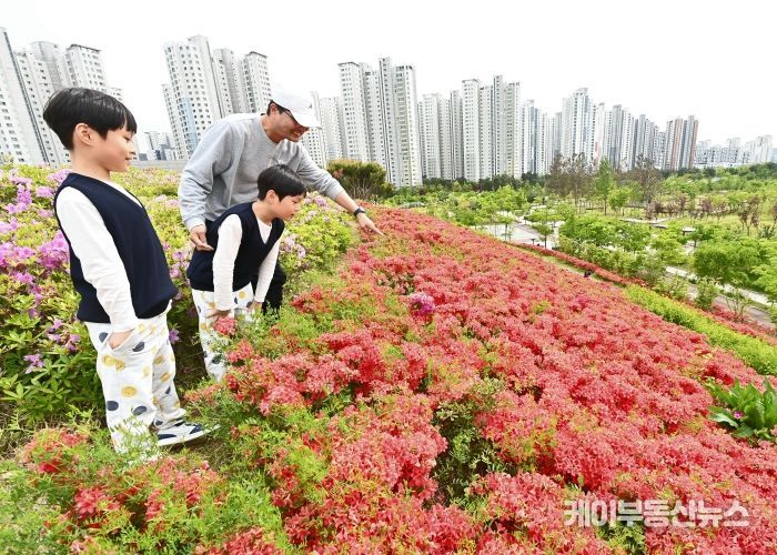붉게 물든 철쭉 앞에서 아빠가 두 아이에게 꽃을 가리키며 설명하고 있다. 계절의 아름다움을 함께 배우는 순간, 봄날의 가족 풍경이 따스하게 피어난다.