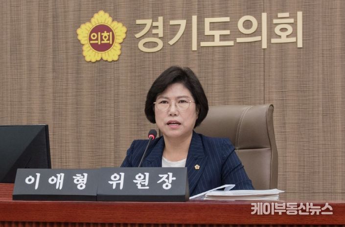 이애형 의원, 추경 불용 및 예비비 이월 문제 지적...계획성 없는 예산편성 반성해야