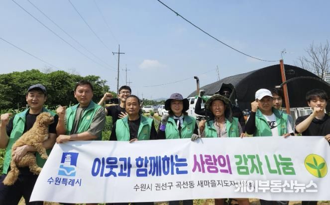 수원시 권선구 곡선동 새마을지도자협의회, ‘사랑의 감자캐기’ 실시