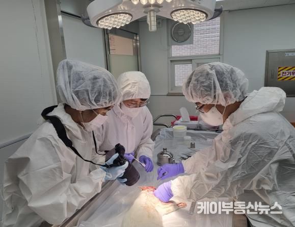 부검