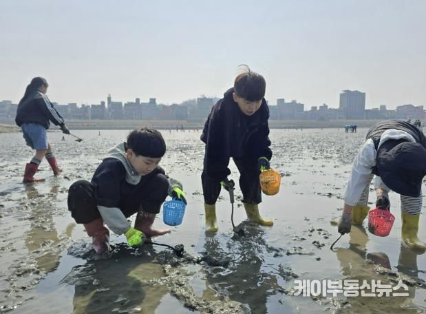 아이들이 갯벌에서 조개 캐기 체험을 하고 있다.