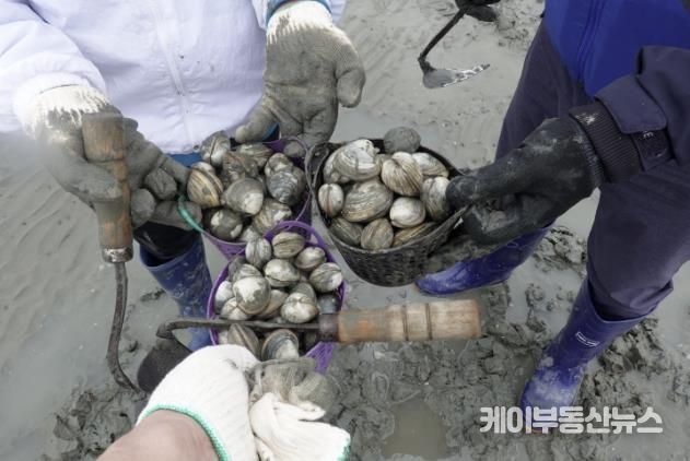 바구니 가득 조개를 캔 모습