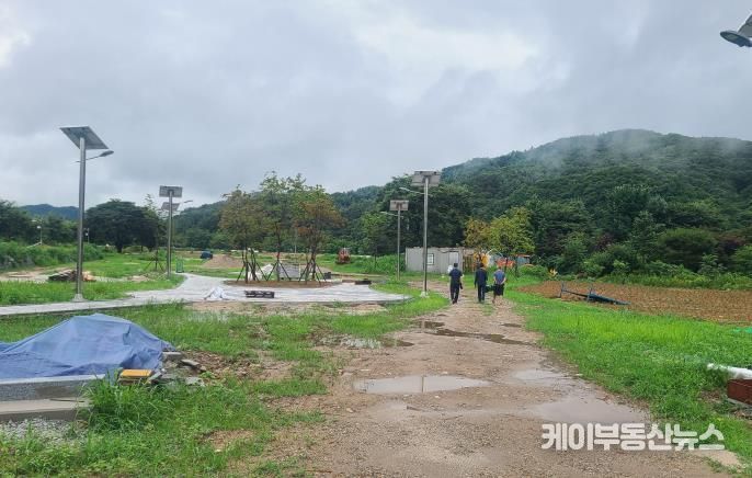 파크골프