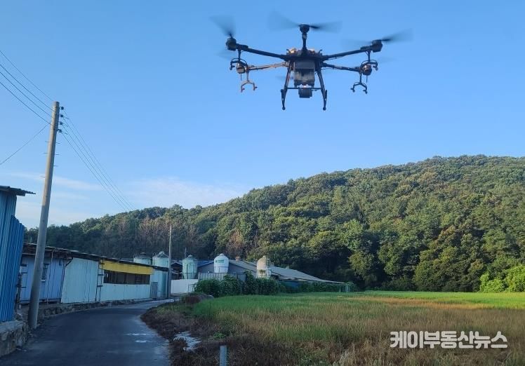 파주시, 무인기(드론) 활용해 야생 멧돼지 기피제 살포