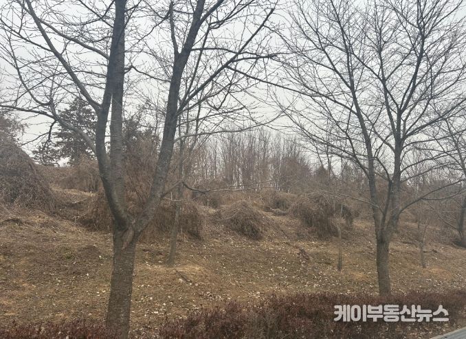 이천시, 2026년 도시숲리모델링사업 선정