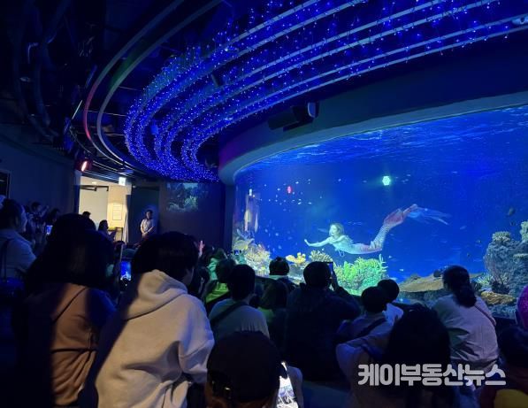 수원특례시 드림스타트 아동·가족이 아쿠아플라넷 관람을 하고 있다.