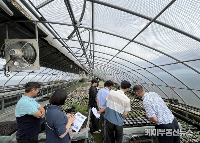 농업기술센터 실증온실에서 커피박과 우분을 혼합한 퇴비 시용 실험이 진행되고 있다.