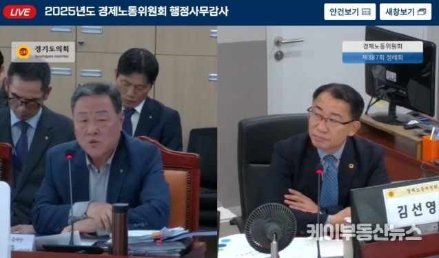 경기도의회 김선영 의원