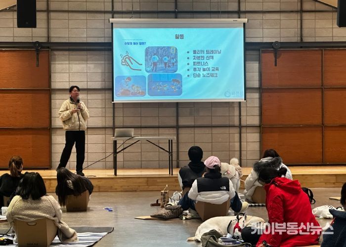 댕댕 힐링클래스 진행 모습