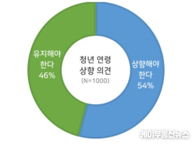 청년 연령 기준 상향 의견